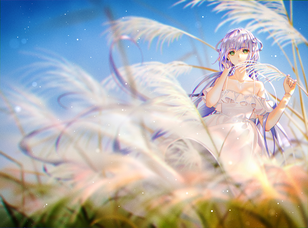 洛天依 芒草景